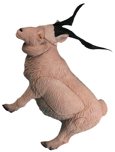 Rinehart 3D Catalina Goat