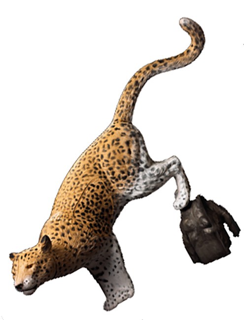 Rinehart 3D Leopard w/Rock