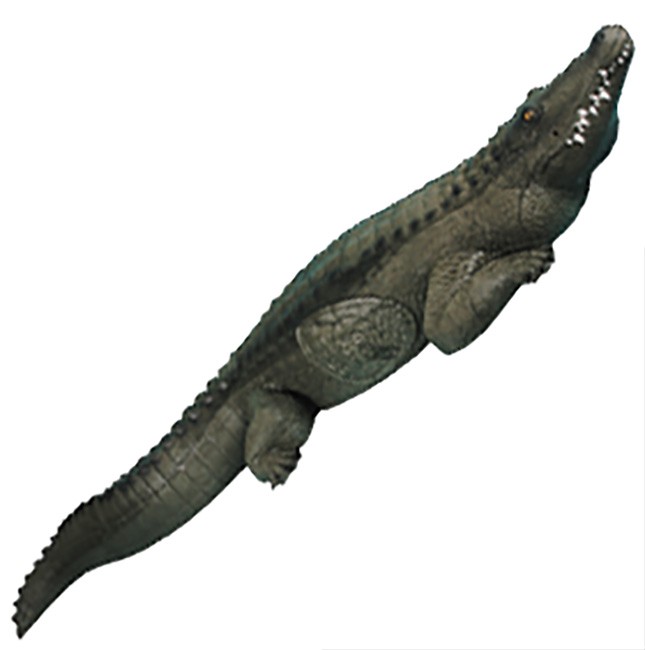 Rinehart 3D Alligator