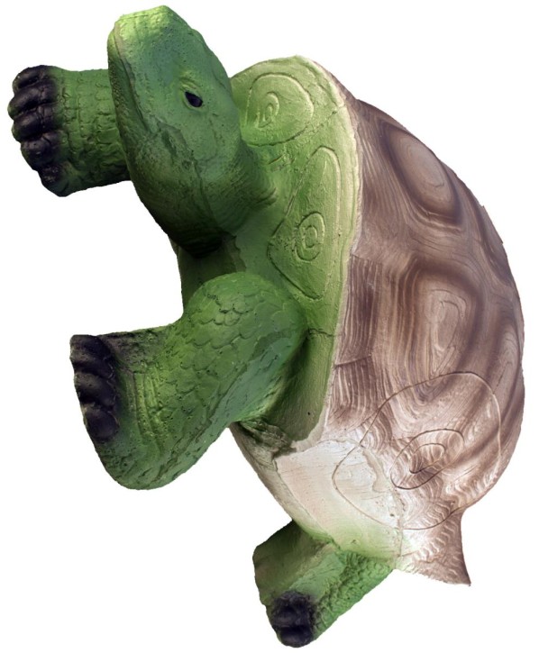Eleven 3D Turtle