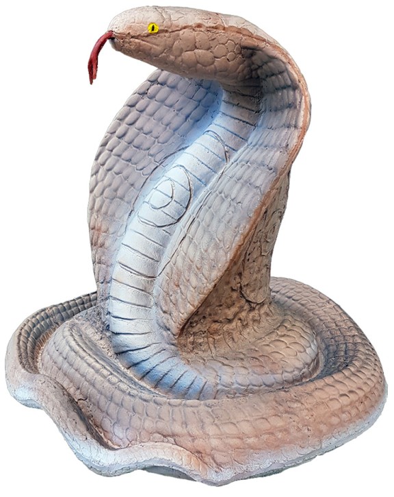 Eleven 3D Cobra