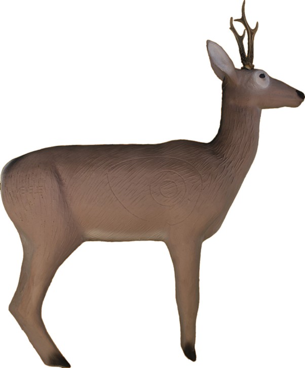 Eleven 3D Deer Dark with Horns