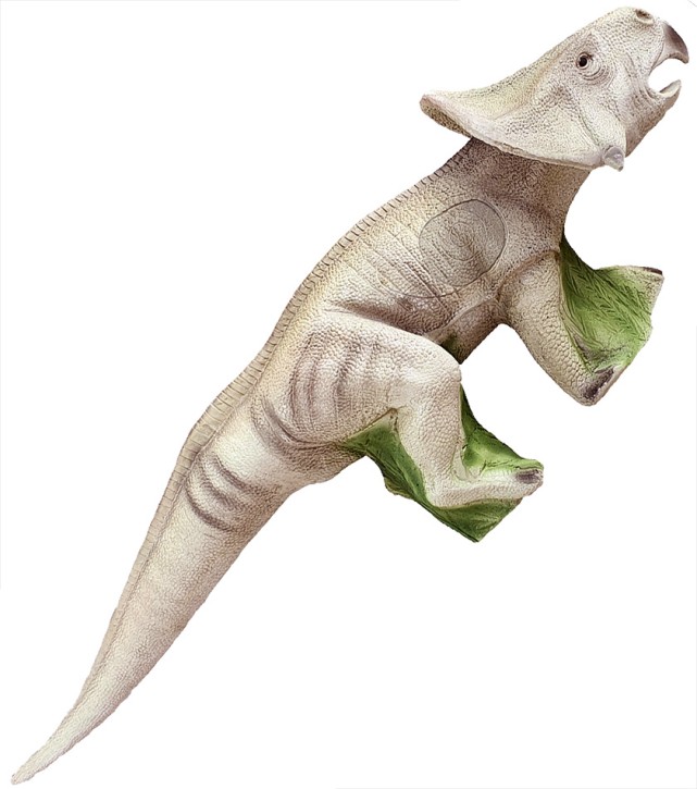Eleven 3D Protoceratops with Insert