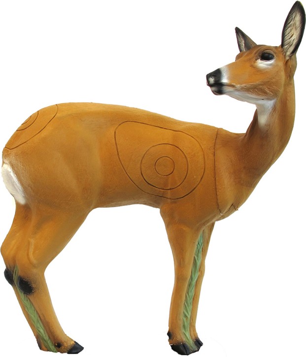 SRT 3D Roe Deer Female