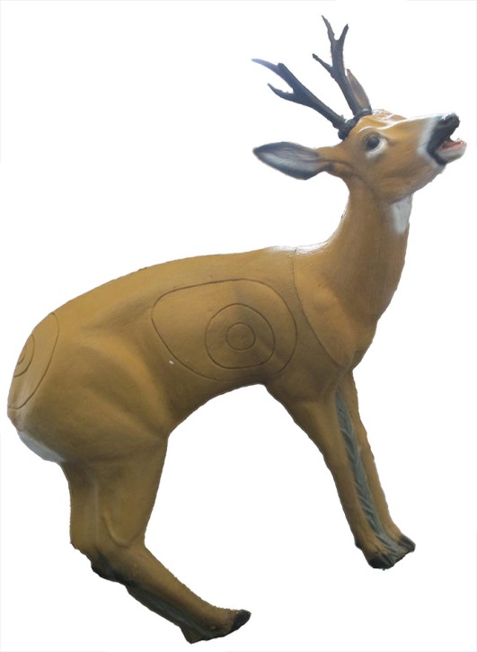 SRT 3D Roe Deer