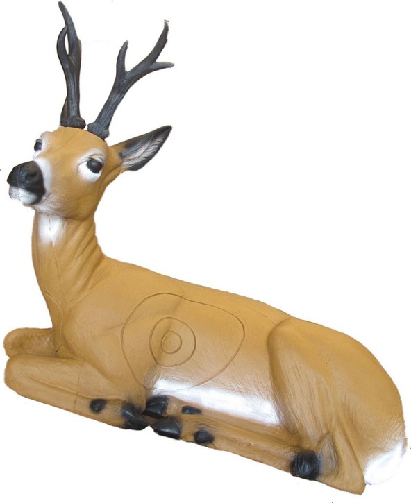 SRT 3D Roe Deer Bedded