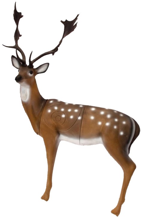 SRT 3D Fallow Deer