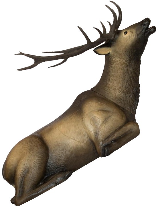 SRT 3D Bedded Elk