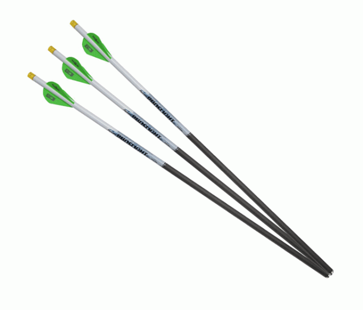 Excalibur Carbon Bolzen Proflight 18" 6Stk